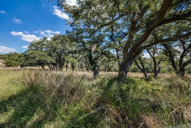190 Fallen Acorn, Blanco, TX 78606