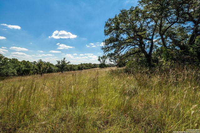 190 Fallen Acorn, Blanco, TX 78606