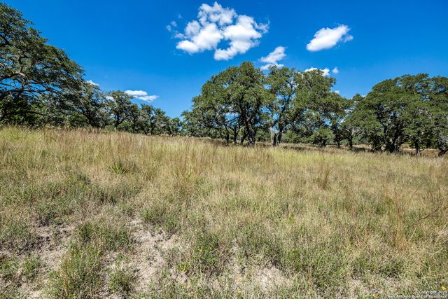190 Fallen Acorn, Blanco, TX 78606