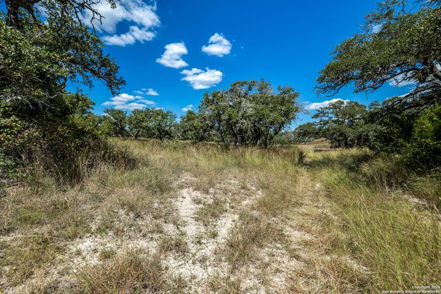 190 Fallen Acorn, Blanco, TX 78606