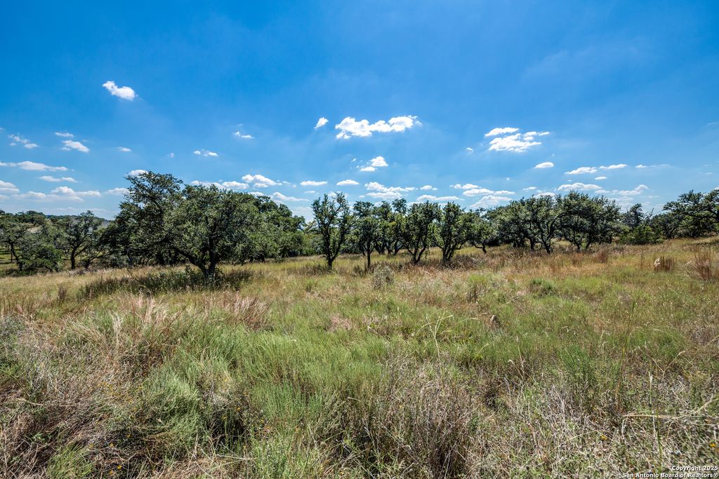 190 Fallen Acorn, Blanco, TX 78606