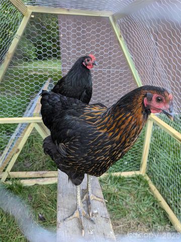 2200 Simmons Street, Gastonia, NC 28052