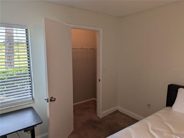 209 MARY DRIVE 7, Oldsmar, FL 34677