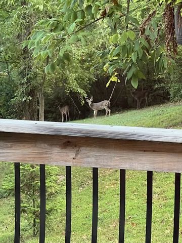 1604 Becca Ln, Columbia, TN 38401