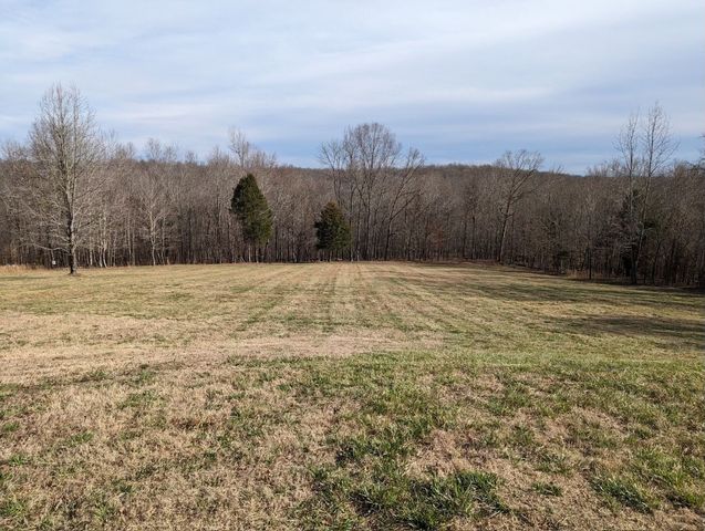 554 Hayes Ridge Rd, Indian Mound, TN 37079