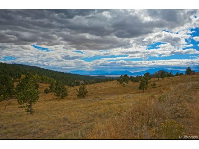 9496 CO RD 328, Westcliffe, CO 81252