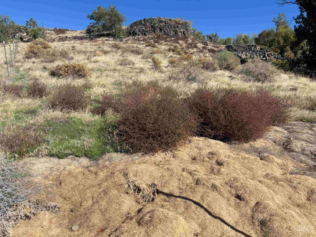 TBD Baseline Rd, Melba, ID 83641 photo 4