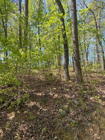 0 Windfield Circle, Blue Ridge, GA 30513