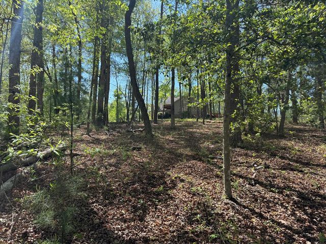 0 Windfield Circle, Blue Ridge, GA 30513