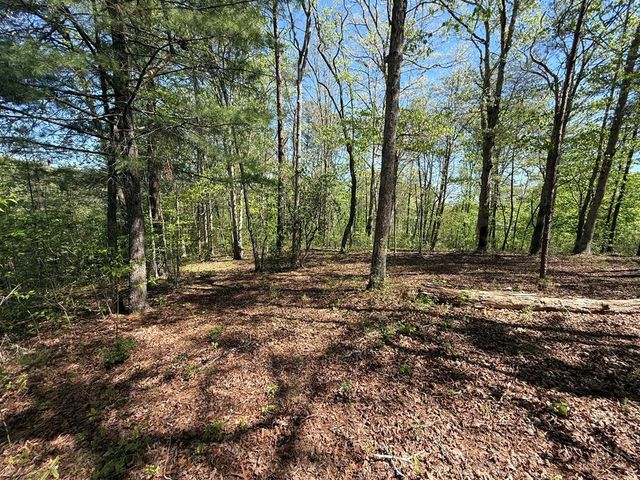 0 Windfield Circle, Blue Ridge, GA 30513