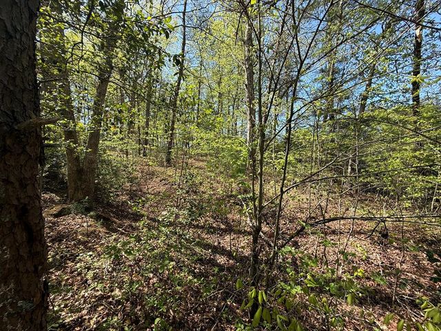 0 Windfield Circle, Blue Ridge, GA 30513