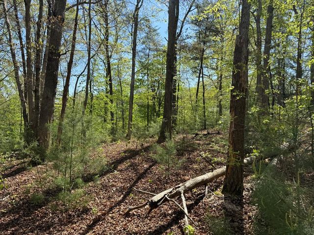 0 Windfield Circle, Blue Ridge, GA 30513