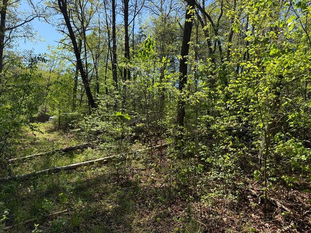 0 Windfield Circle, Blue Ridge, GA 30513