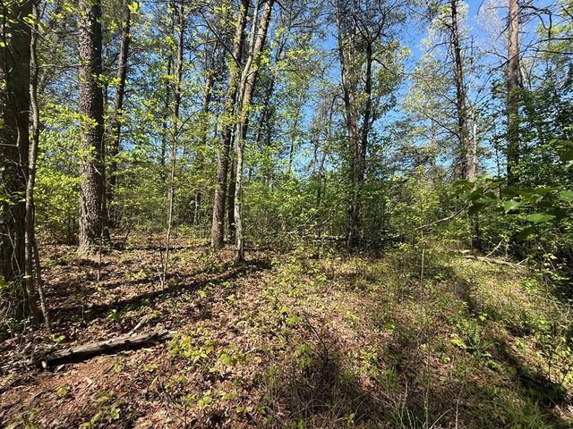 0 Windfield Circle, Blue Ridge, GA 30513