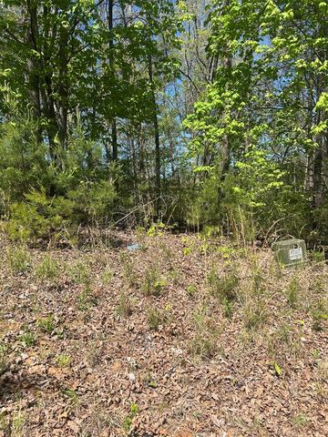 0 Windfield Circle, Blue Ridge, GA 30513