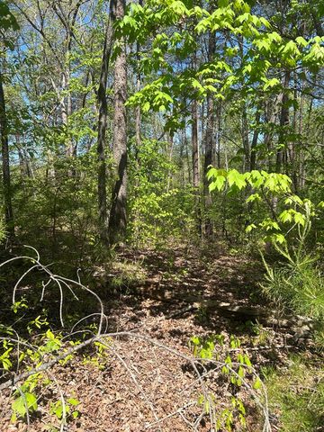 0 Windfield Circle, Blue Ridge, GA 30513