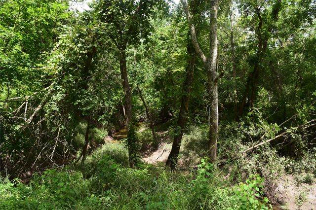 0 County Road 121, Rosharon, TX 77583