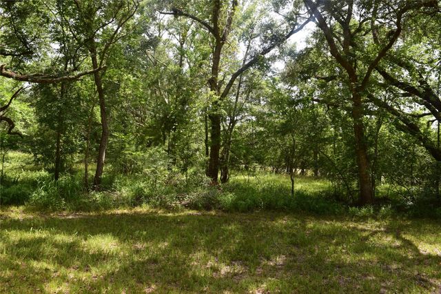 0 County Road 121, Rosharon, TX 77583