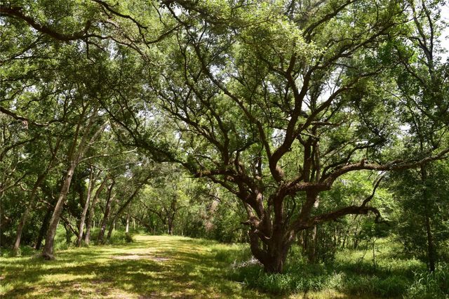 0 County Road 121, Rosharon, TX 77583