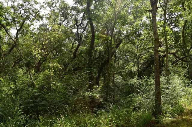 0 County Road 121, Rosharon, TX 77583