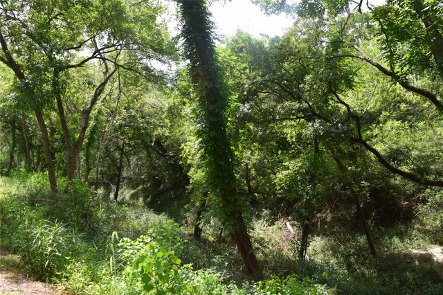 0 County Road 121, Rosharon, TX 77583