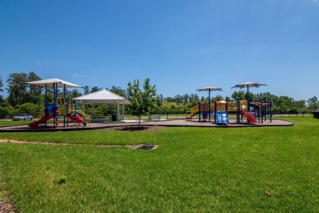 10455 HERON HIDEAWAY LOOP, Land O Lakes, FL 34638