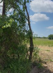 Lot 1 County Road 308, Terrell, TX 75161