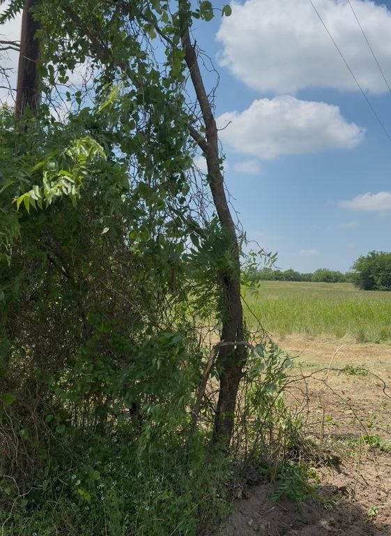 Lot 1 County Road 308, Terrell, TX 75161