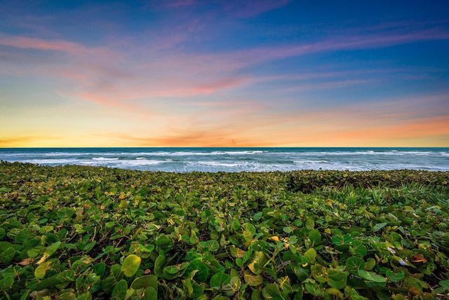 712 Ocean Drive, Juno Beach, FL 33408