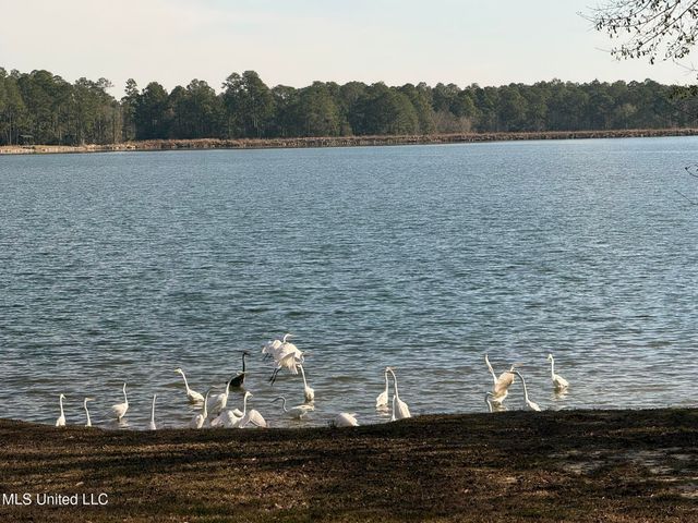 12250 Windance Drive, Gulfport, MS 39503