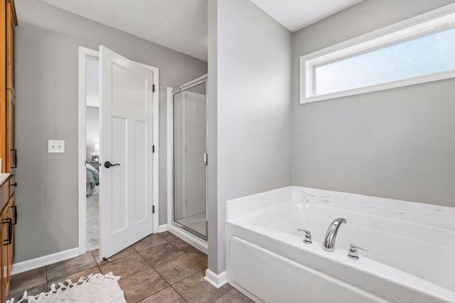 13816 Savanna Drive, Rogers, MN 55374