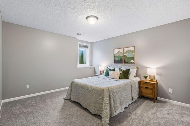 13816 Savanna Drive, Rogers, MN 55374
