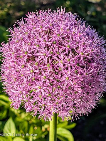 5709 Ruby Falls Dr, Prospect, KY 40059