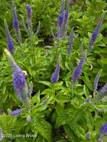 5709 Ruby Falls Dr, Prospect, KY 40059