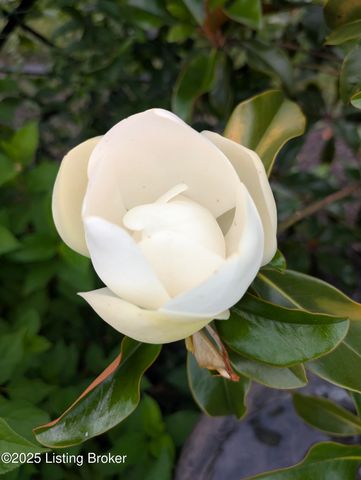 5709 Ruby Falls Dr, Prospect, KY 40059