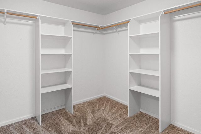 637 Rebekah Ct, Ripon, CA 95366