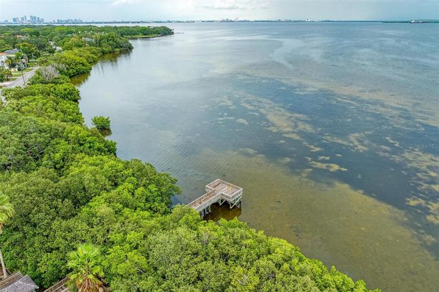 3047 POINTEVIEW DRIVE, Tampa, FL 33611