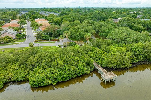 3047 POINTEVIEW DRIVE, Tampa, FL 33611