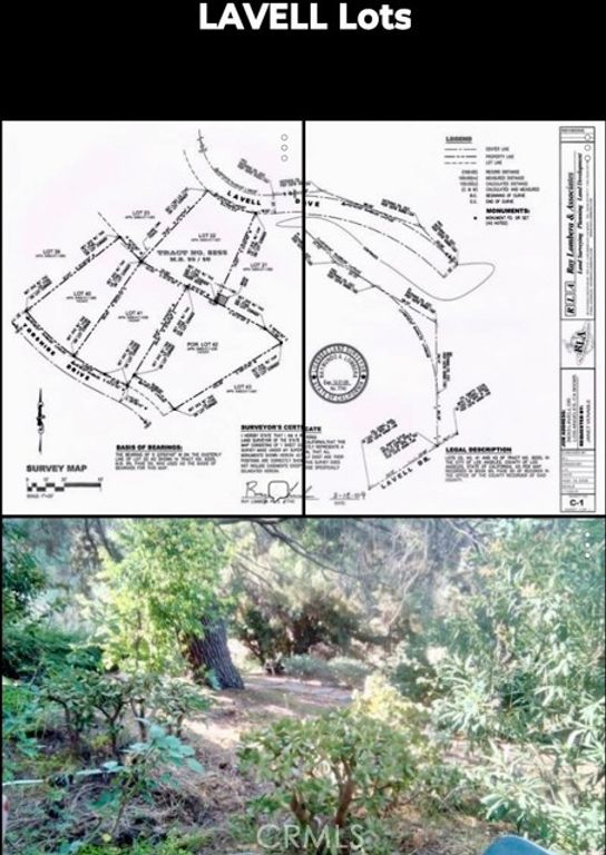 3633 Lavell Drive, Los Angeles, CA 90065