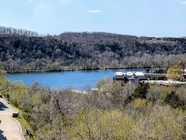 150 Sunken Forest Dr. 7-202, Forsyth, MO 65653