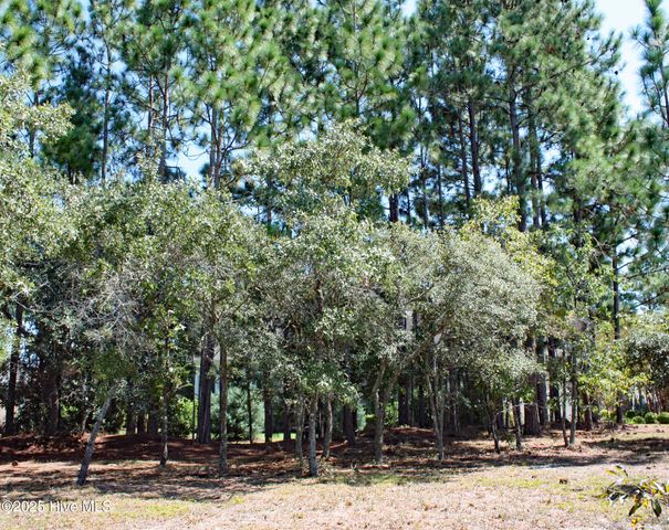 6452 Kirkwall Point SW, Ocean Isle Beach, NC 28469