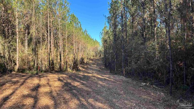lot 71 Straw Bridge Rd, Allentown, FL 32565