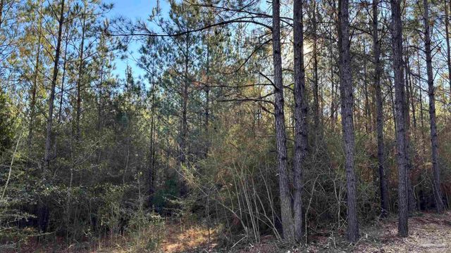 lot 71 Straw Bridge Rd, Allentown, FL 32565