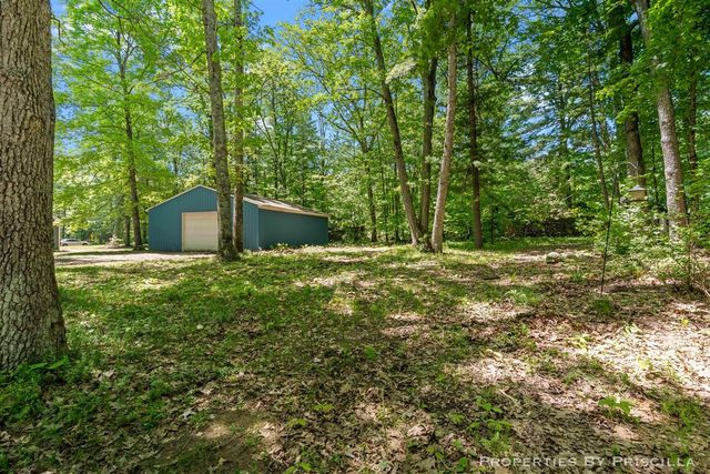 4457 S Croton Hardy Drive, Newaygo, MI 49337