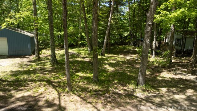 4457 S Croton Hardy Drive, Newaygo, MI 49337
