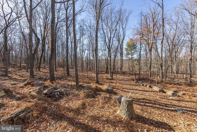 1060 BUFFALO RIDGE RD, Augusta, WV 26704