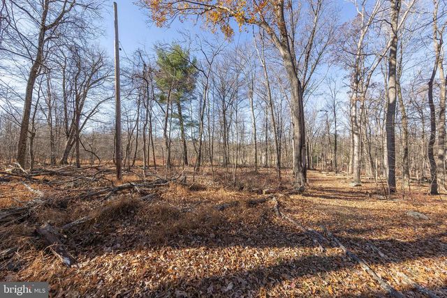 1060 BUFFALO RIDGE RD, Augusta, WV 26704