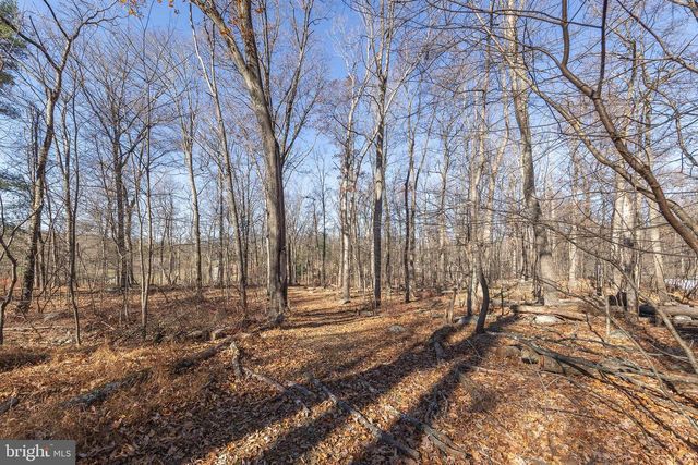 1060 BUFFALO RIDGE RD, Augusta, WV 26704