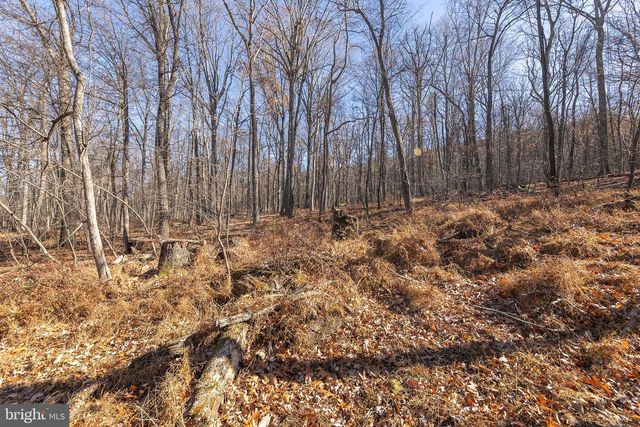 1060 BUFFALO RIDGE RD, Augusta, WV 26704