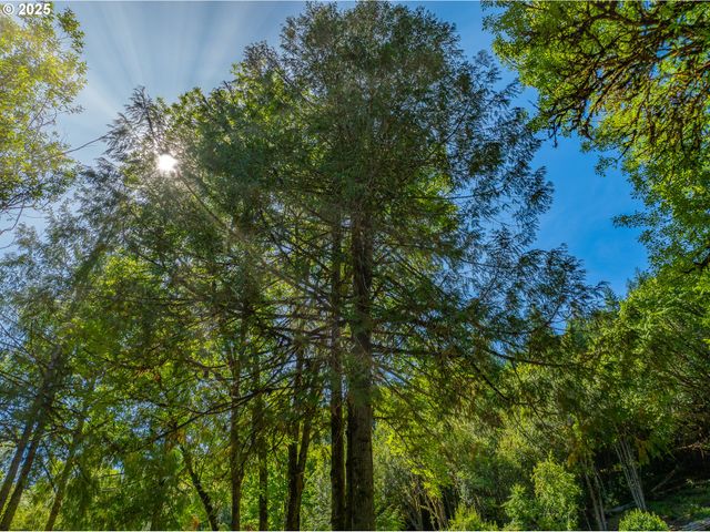 55593 GLEN AIKEN CREEK Rd, Coquille, OR 97423